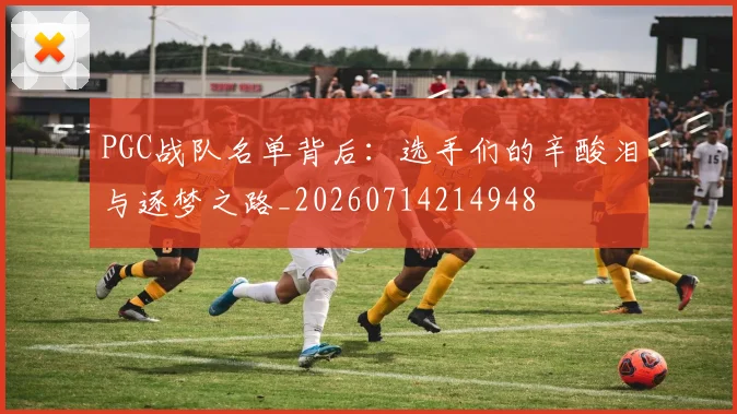 PGC战队名单背后:选手们的辛酸泪与逐梦之路_20260714214948