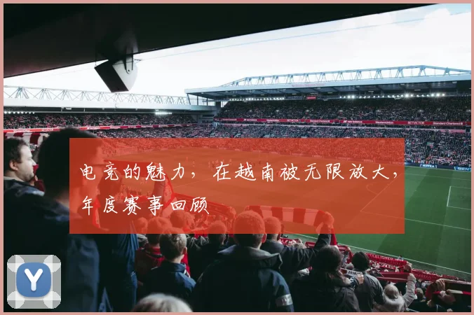 电竞的魅力，在越南被无限放大，年度赛事回顾