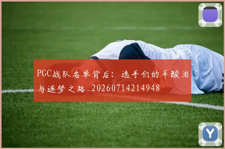 PGC战队名单背后:选手们的辛酸泪与逐梦之路_20260714214948