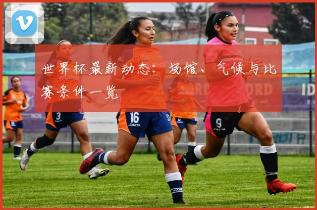 世界杯最新动态：场馆、气候与比赛条件一览