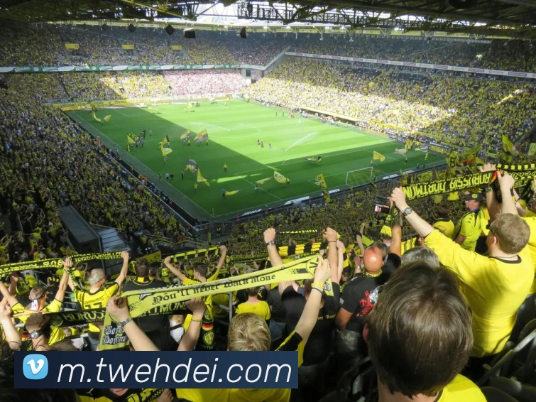 电竞直播专区